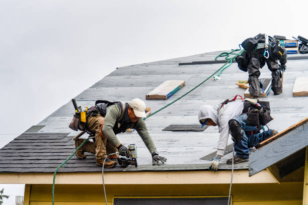 Professional Storm Damage Roof Repair technician working in Pine, CO